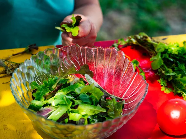 葉レタス 若いタマネギ ニンニク キュウリ トマトから夏のサラダを調理する — ストック写真