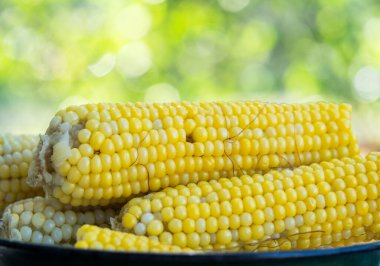 Bahçe arka planında metal bir kasede haşlanmış mısır.