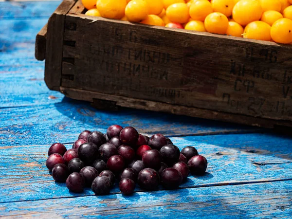 Organic Cherry Plums Vintage Box Weathered Blue Wooden Surface Garden — Stock Photo, Image