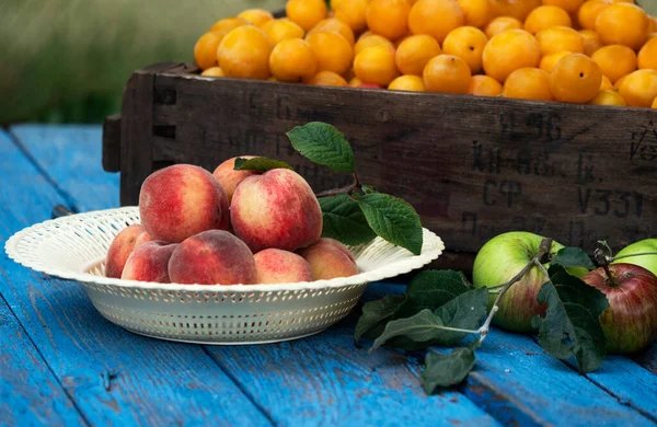 Organiczne Śliwki Wiśniowe Pudełku Vintage Miska Brzoskwiniami Jabłkami Niebieskiej Wietrznej — Zdjęcie stockowe
