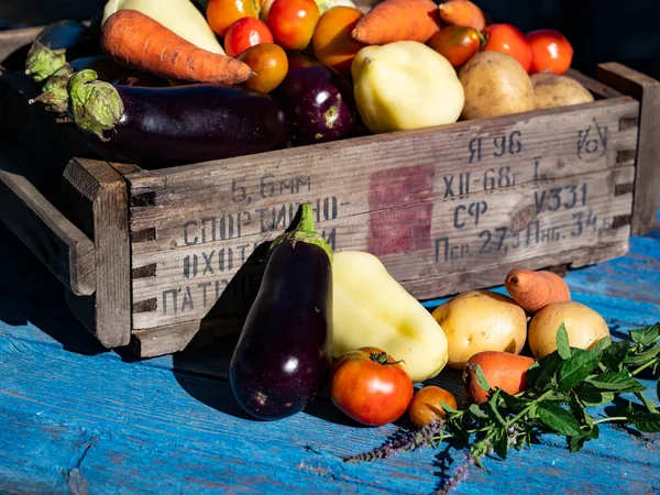 Seonial Sebzelerin Patatesler Patlıcanlar Domatesler Dolma Biberler Havuçlar Eski Bir — Stok fotoğraf