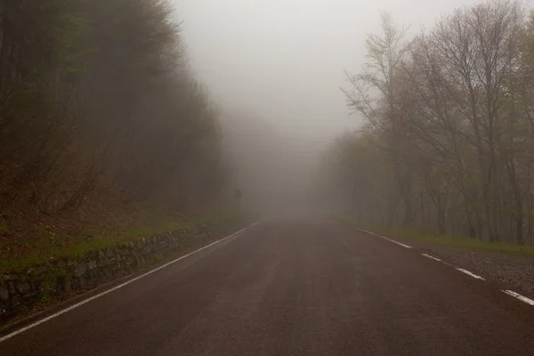 Niebla Paisaje Con Carretera Bosque Por Mañana — Foto de Stock