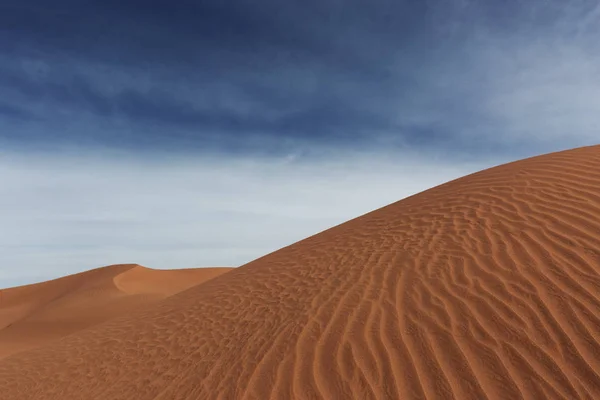 사하라 사막에 — 스톡 사진