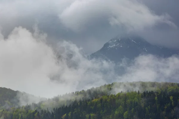 Nuvole Nebbia Nelle Alpi Montagne Coperte Foresta — Foto Stock