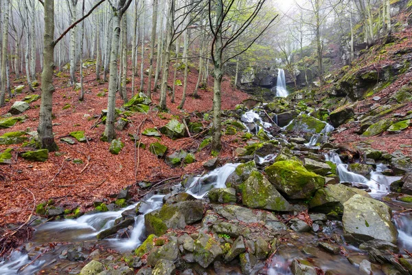 霧深い朝に滝と春のブナの森の風景 — ストック写真