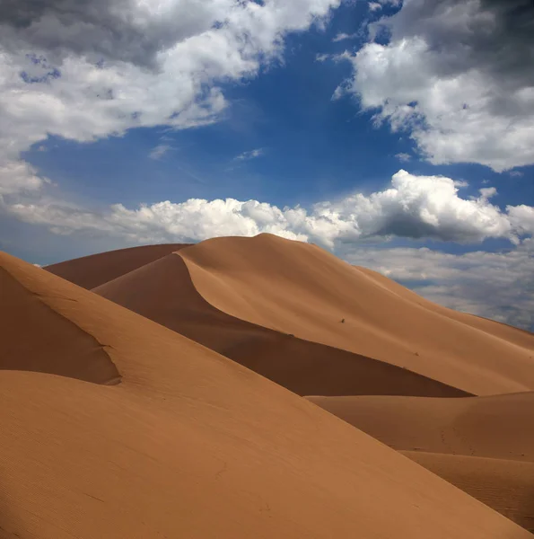 Big Sand Dunes Sahara Desert — Stock Photo, Image