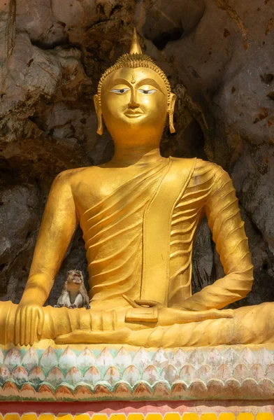 Обезьяна Статуе Будды Храме Таиланд — стоковое фото