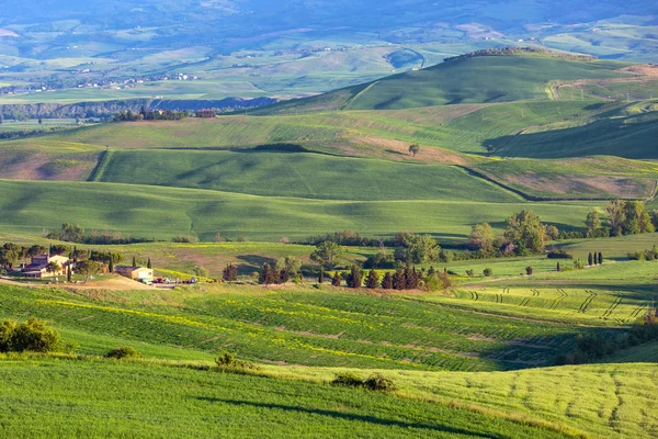 Toskánsko Letecké Slunce Zemědělské Půdy Hill Venkovská Krajina Itálie Evropa — Stock fotografie