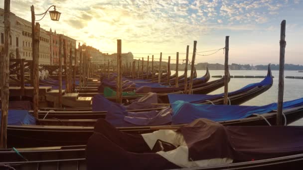 Venedik İtalya'da Canal Grande üzerinde Gondol — Stok video