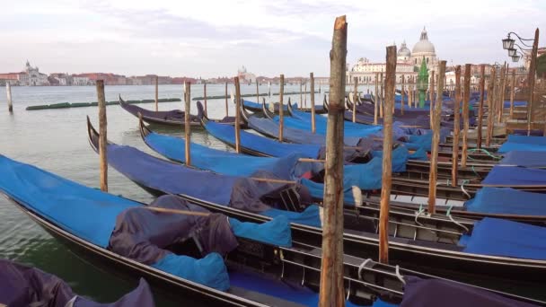Gondolas on Canal Grande in Venice Italy — Stock Video