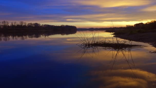 Hermoso paisaje del río de la mañana al amanecer — Vídeo de stock