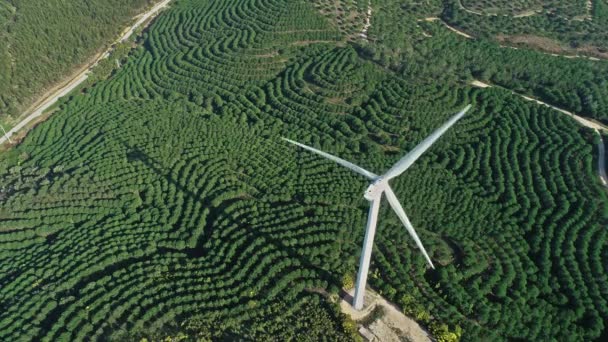 Anténa větrných mlýnů nebo větrných turbín na větrné farmě — Stock video