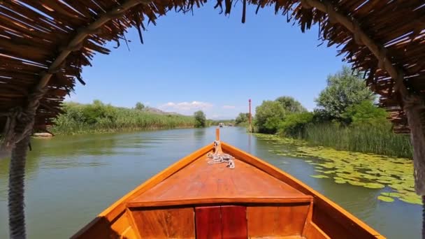 Båtliv på den berömda sjön Skadar i Montenegro — Stockvideo