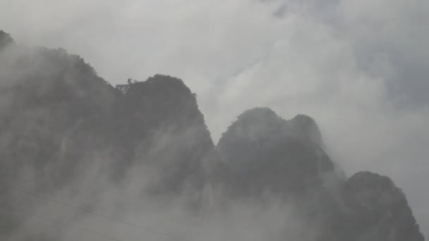 Fuertes lluvias en el bosque tropical asiático — Vídeo de stock