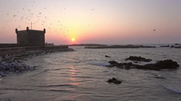 Essaouira Fort sylwetka z nieba zachód słońca, Maroko — Wideo stockowe