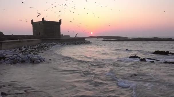 Gün batımı gökyüzü ile Essaouira fort siluet, Fas — Stok video