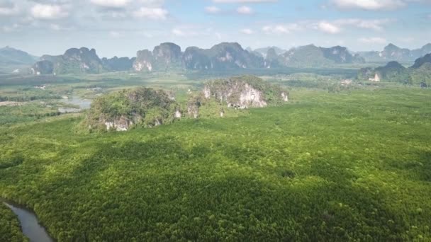 Mangrove bos en rivieren in Krabi, Thailand — Stockvideo