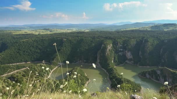 Meanders bij Rocky River Uvac in Servië — Stockvideo