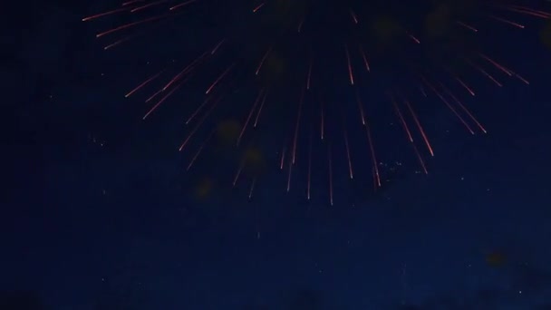 Hermoso espectáculo de fuegos artificiales de colores en el cielo nocturno — Vídeos de Stock