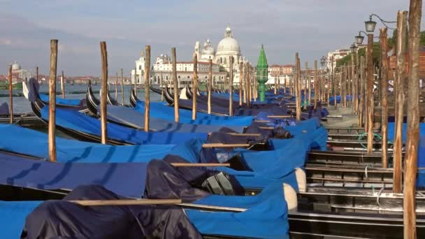 Gondoly na canal grande v Benátkách, Itálie — Stock video