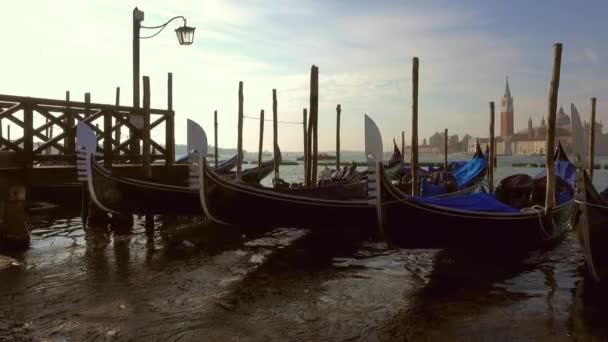 Gondels aan canal grande in Venetië, Italië — Stockvideo