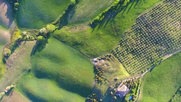 Tuscany aerial landscape at evening in Italy — Stock Video