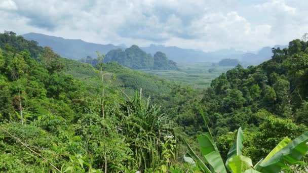 Landschaft des Khao Sok Nationalparks in Thailand — Stockvideo