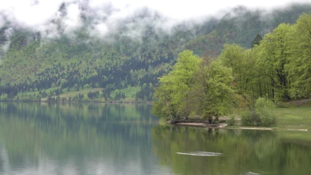 Bohinjsko Jezero mellan bergen i Slovenien — Stockvideo