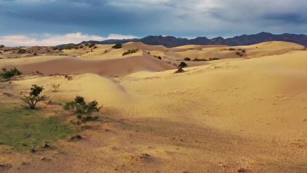 Letecký pohled na písečné duny Bayan Gobi v Mongolsku — Stock video