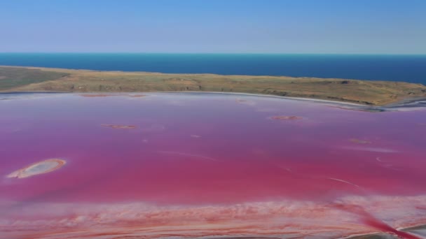 Aerial view of pink lake near Black Sea in Crimea — ストック動画