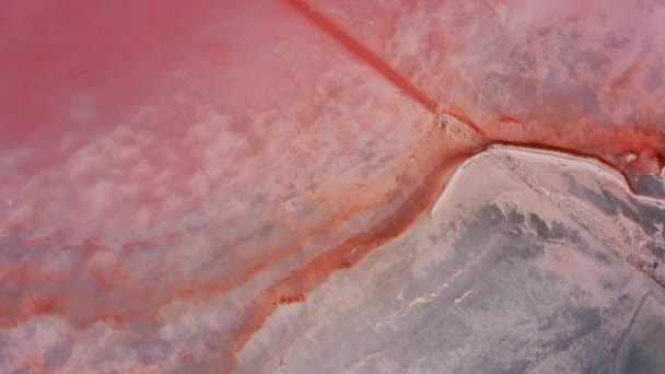 Aerial top view of pink lake in Crimea — Stock Video