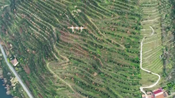 Vista aérea das vinhas em terraços em Portugal — Vídeo de Stock