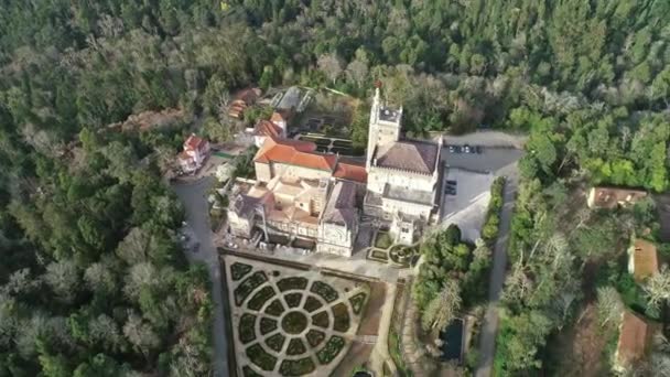 Воздушный обзор парка и дворца Буссако — стоковое видео