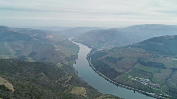 Flygfoto över terrasserade vingårdar i Portugal — Stockvideo