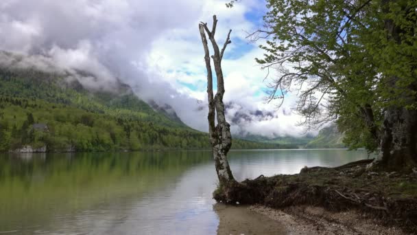 Богиянське Jezero між горами в Словенії — стокове відео