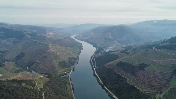 Terrassenförmige Weinberge im Douro-Flusstal — Stockvideo