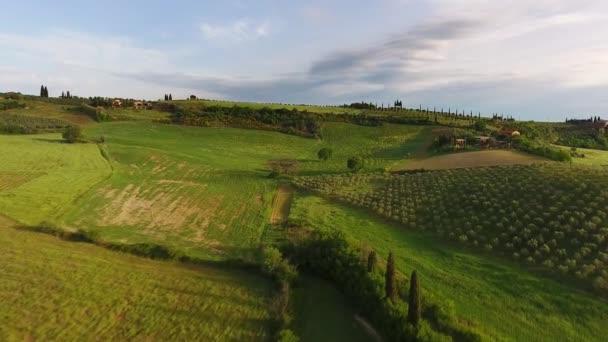 Toscana antenn soluppgång jordbruksmark landskap — Stockvideo