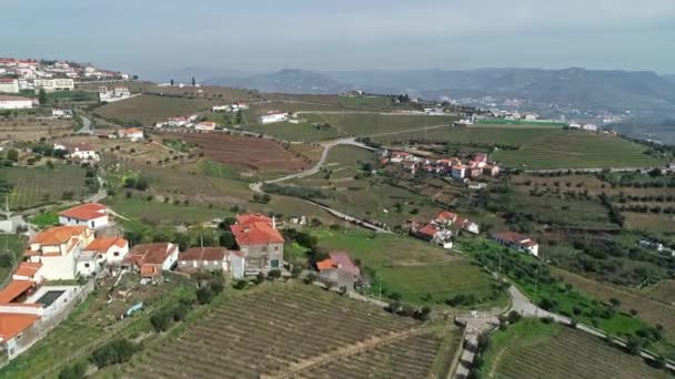 Terrasvormige wijngaarden in de vallei van de Douro rivier — Stockvideo