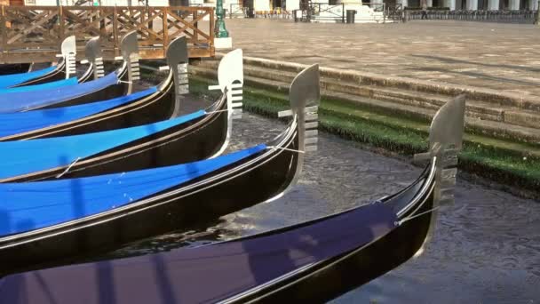 Gondolas Traditionnels Sur Canal Grande San Marco Venise Italie — Video