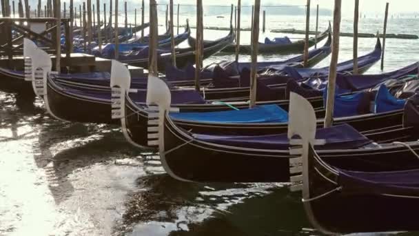 Gondolas Tradicionales Canal Grande San Marco Venecia Italia — Vídeos de Stock