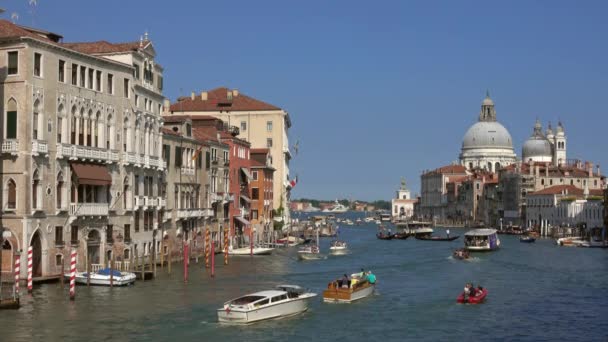 Grande Canal Basílica Santa Maria Della Salute Veneza Itália — Vídeo de Stock