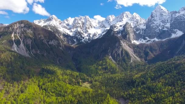 슬로베니아의 공원에 산들을 공중에서 내려다본 — 비디오