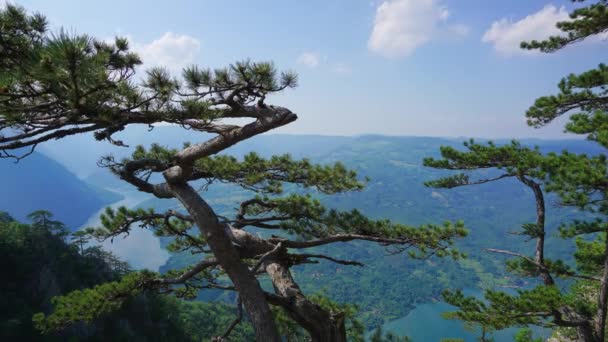 Sırbistan Tara Ulusal Parkı Ndaki Drina Nehri Üzerindeki Ünlü Banjska — Stok video