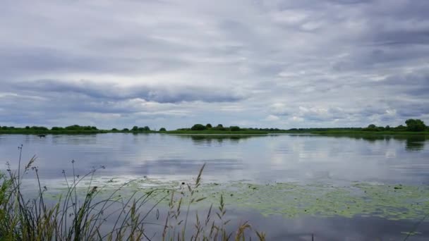 Lanscape Pskov Lake Timelapse — Stock Video