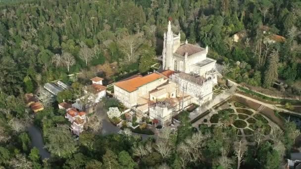 Bussaco Coimbra Portekiz Parkın Sarayının Havadan Görüntüsü — Stok video