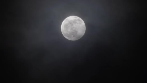 Lua Cheia Movendo Entre Nuvens — Vídeo de Stock
