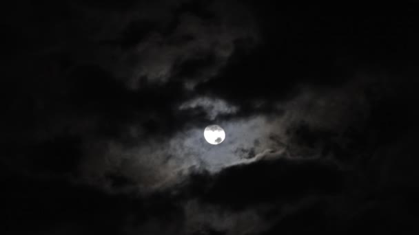 Luna Llena Moviéndose Entre Nubes — Vídeos de Stock