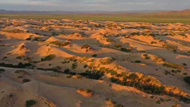 Vue Aérienne Des Dunes Sable Elsen Tasarhai Bayan Gobi Lever — Video