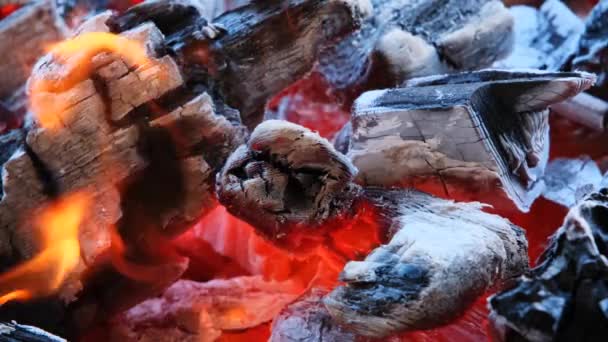 Burning Fire Firewood Coal Closeup Fireplace — Stock Video