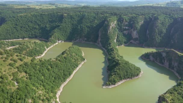岩の多い川ウヴァツ渓谷で晴れた日とグリフォンのハゲワシの鳥 セルビア南西部 4Kを意味 — ストック動画